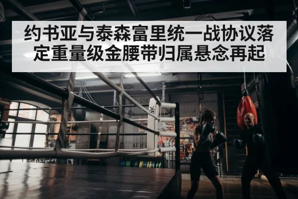 boxer training