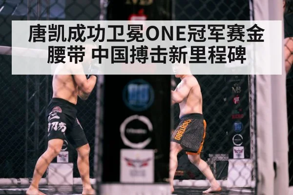 MMA cage fight action